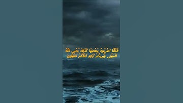 سورة البقرة اية 73 - مع صوت البحر بصوت جميل - فَقُلْنَا اضْرِبُوهُ بِبَعْضِهَا كَذَلِكَ