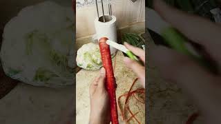 Red carrots ? carrots explore fypシ foodlover ytshorts shortsfeed letscookwithcyd shorts