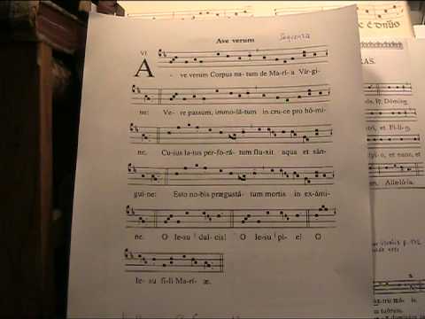 AVE VERUM, Sequenza gregoriana, Studio sullo spart...