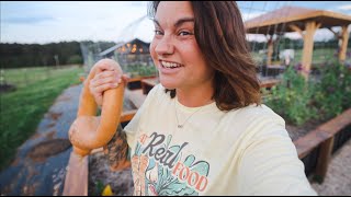 Let&#39;s Talk Cross Pollination and Toxic Squash (and the Plant Guessing Game) | VLOG