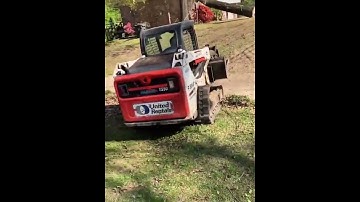 Failure to cut down trees,trucks pay the price #satisfying #asmr #tree #oddlysatisfying #fyp
