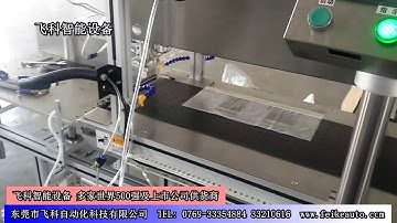 FK812 Automatic Bags Labeling Machine