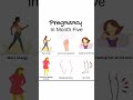 pregnancy in month five
