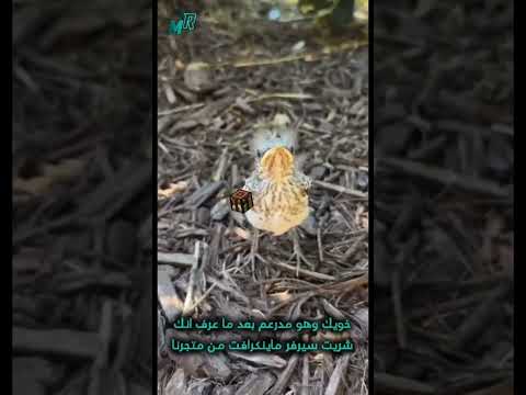 تبي سيرفر ماينكراقت بسعر ١٠ ريال للجافا و البيدرك زور موقعنا