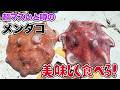 超マズいと噂のメンダコ、美味しく食べる!