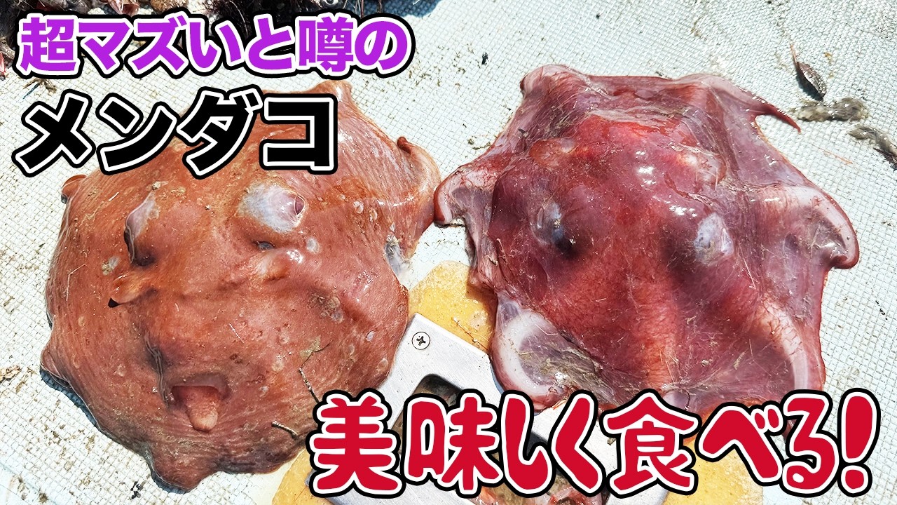 超マズいと噂のメンダコ、美味しく食べる！ - YouTube