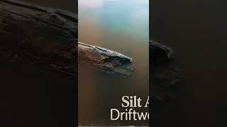 Silt And Driftwood — Nature-Inspired Home Decor #SiltAndDriftwood #RusticDecor #music