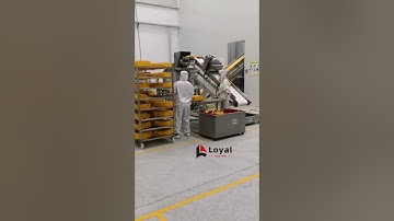 Japanese Panko bread crumb production line| Bread crumb machine factory|Electrode cooked breadcrumbs