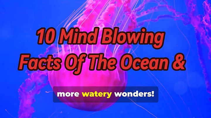 10 Mind Blowing Ocean Facts You Didn't Know Existed