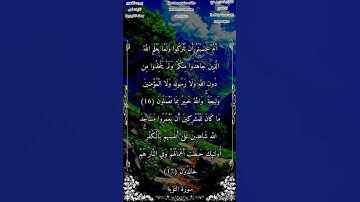 أم حسبتم أن تتركوا ولما يعلم الله الذين جاهدوا منكم #سورة_التوبة #بدر_التركي #أحمد_طالب