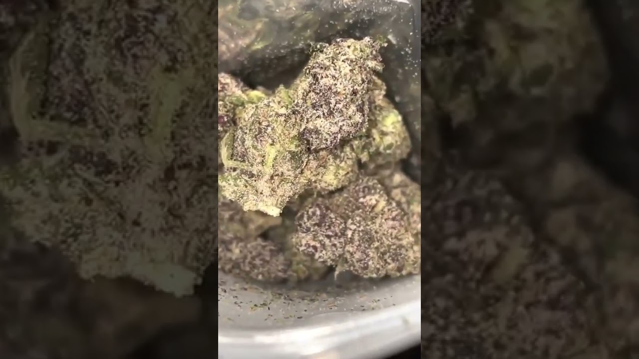 White BubbleGum Gelato Exotic Strain