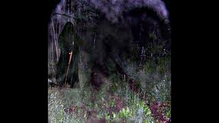 923695786 Onset (shimaelok   prostiiitutiiion) 432hz