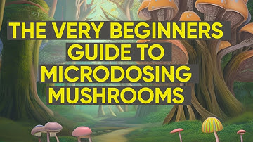 The 2025-2026 Absolute Beginners Guide To Microdosing Magic Mushrooms