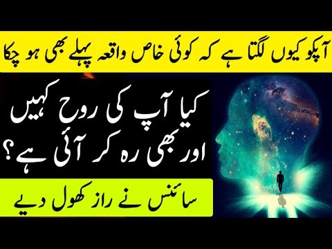 Deja Vu Reality Explained By Science | The Urdu Teacher