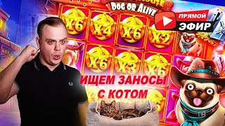 ДАКАКТАК - СТРИМ КАЗИНО КАЗИНО СТРИМ ОНЛАЙН ЗАНОСЫ НЕДЕЛИ ТОП ЗАНОСЫ #zubarefff #витус #zloy