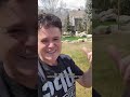 How to dethatch the grass with me #shorts
