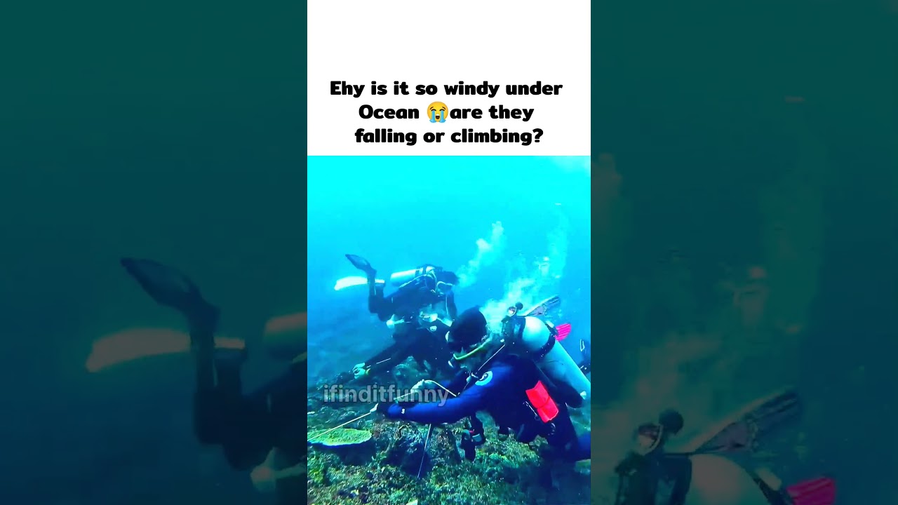 Bro swimming for world cup