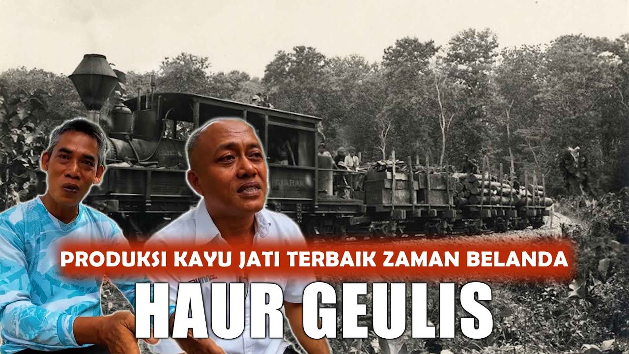 HAUR GEULIS : Produksi kayu jati terbaik zaman Belanda