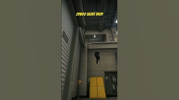 ZYWOO SILENT DROP #shorts #csgo