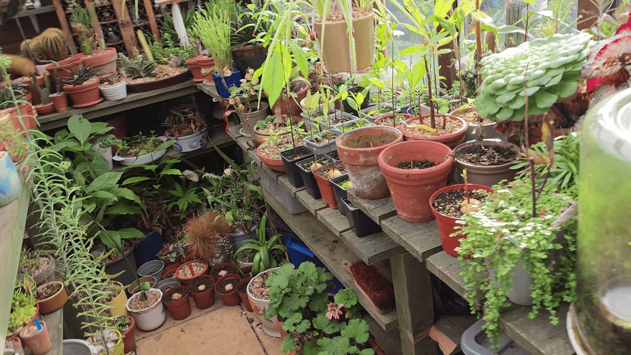 2026 February 23rd GC53