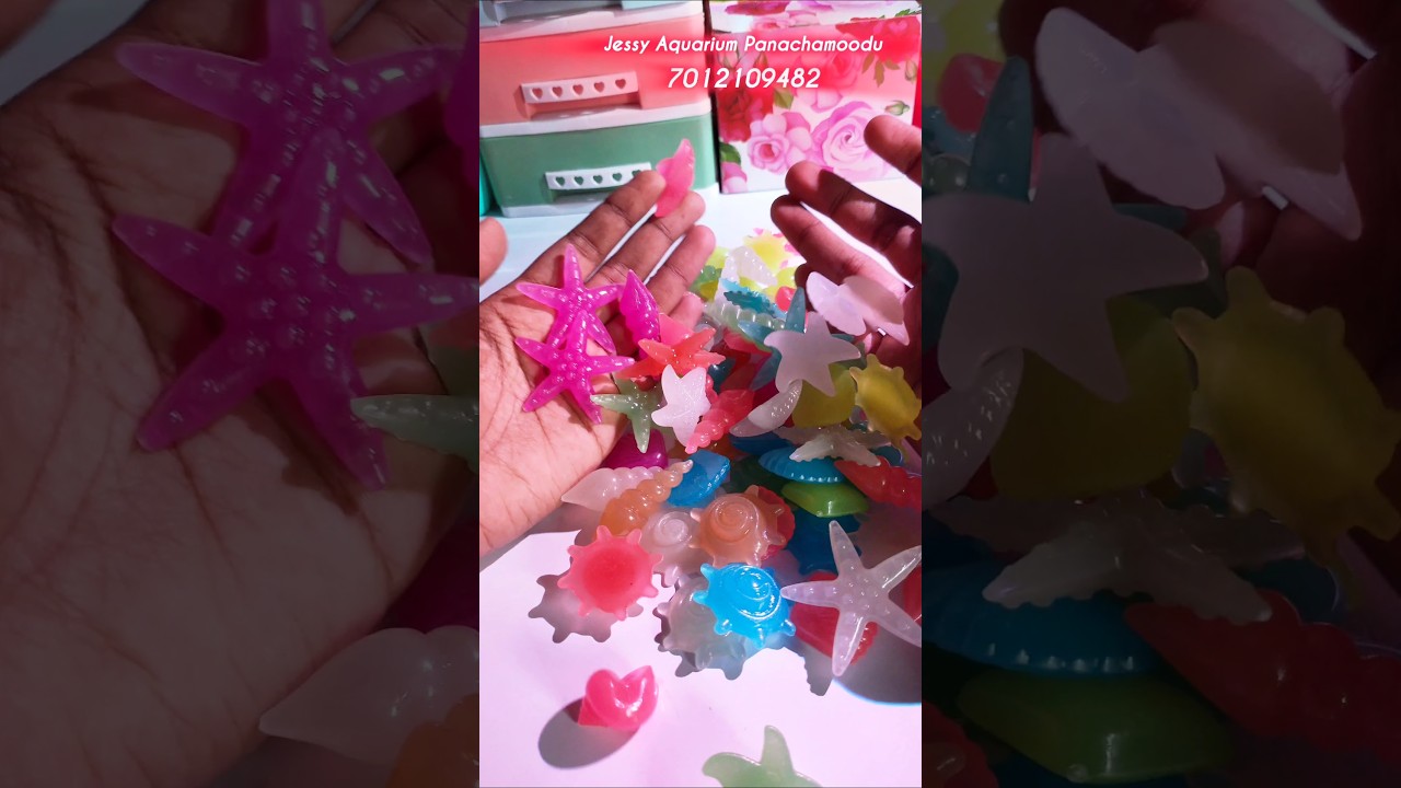 Magical Glow Shells for Your Dark Aquarium 🌌✨ | Must-See Fish Tank Upgrade!