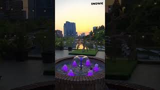#fyp #viral #trending #snowie  #korea #incheon #coffee #relaxing #park