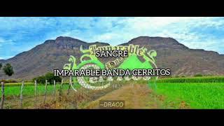 Imparable Banda Cerritos | Sangre | Letra