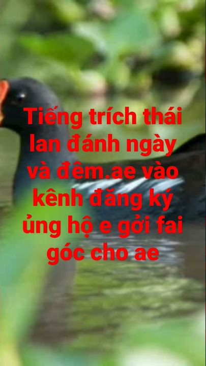 Tiếng trích ré
