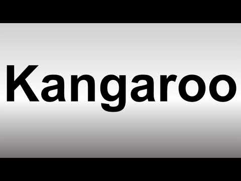 カンガルーの正しい発音方法