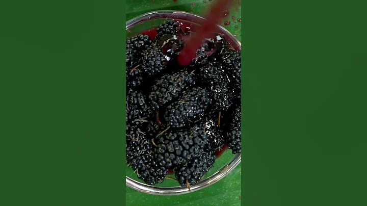 10 benefits of mulberries#shorts - DayDayNews