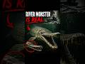 This River Monster IS Real