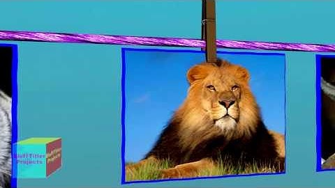 blufftitler Slideshow Clamp Pictures