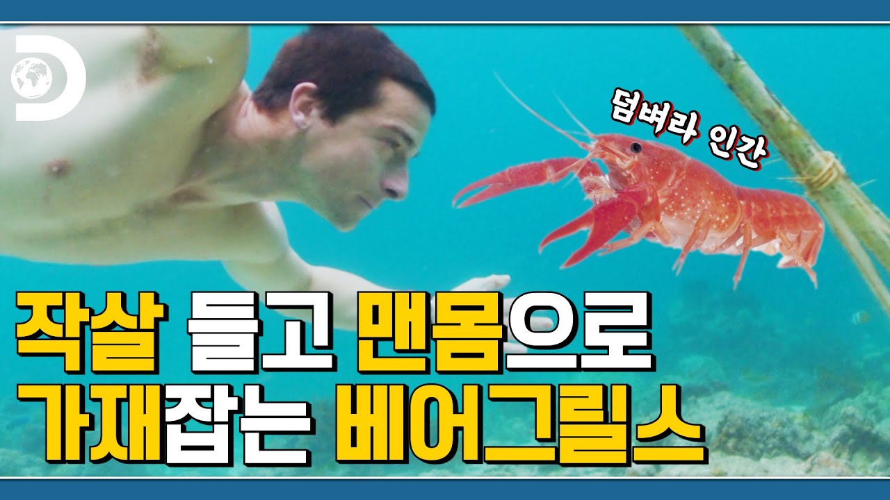 베어형이 좋은 말 할 때 밖으로 가재?;; 말레이시아 섬에서 돼지도 먹고 가재도 먹는 미식가 베어그릴스 [Man VS Wild]