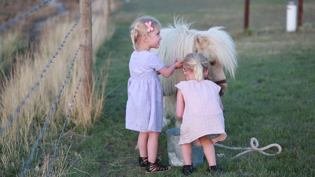 Family Farm Video and Photos YouTube