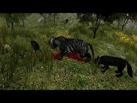 Life Of Black Tiger