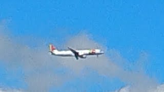TAP Air Portugal 257 Flies Through Hawthorne Valley Park