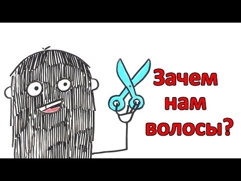 Зачем людям волосы?