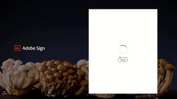 CSUSB Adobe ESign Workflow - how to set up a workflow.