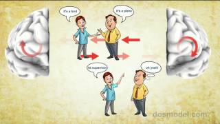 Introduction to DOS Model