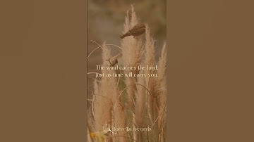 Thumbnail of Little Sparrow by Paul Alan Morris 🍂🎶