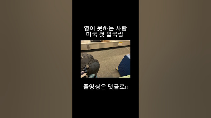영어 하나도 모르는사람 부끄러운 미국 첫 입국썰