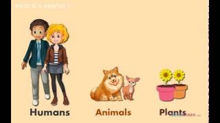 6 Habitats Where Animals & Plants Live! *AMAZING* Science for Kids