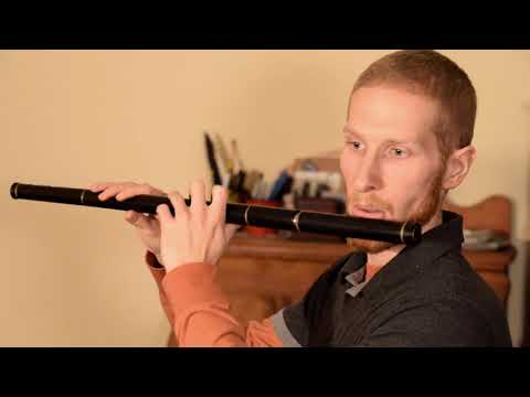 Killavil Jig — Irish Flute