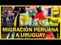 ¿Cómo vive un peruano en Uruguay?