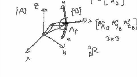 Position and Orientation of bodies