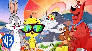 🔴 LIVE! Classic Tom & Jerry, Looney Tunes, Scooby-Doo Cartoons! | Spring Has Sprung | WB Kids