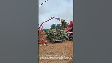 Peanut Harvesting Machine: Efficiently Loading Crops