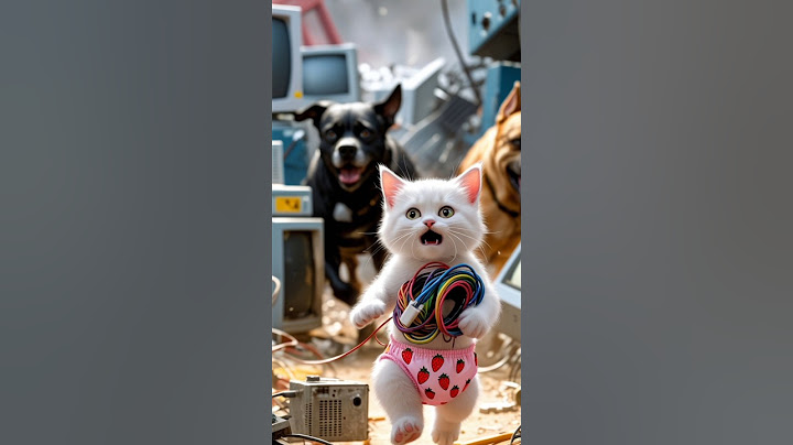 🤖💔 He Was Punished for Dreaming... Now He's a Genius Invento #cuteanimals #cutecat #cat
