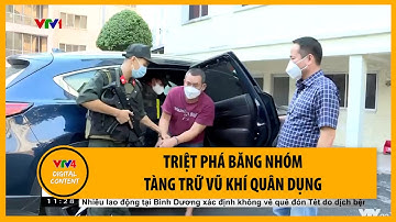 Triệt phá băng nhóm tàng trữ vũ khí quân dụng | VTV4