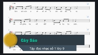 Tập đọc nhạc số 1 lớp 9 || Cây sáo || TĐN số 1 lớp 9